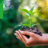 2025年 森林保全への寄付のご報告