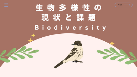 3 Four Crises Facing Japan's Biodiversity (Part 2)